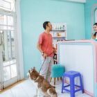 dog daycare