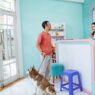 dog daycare