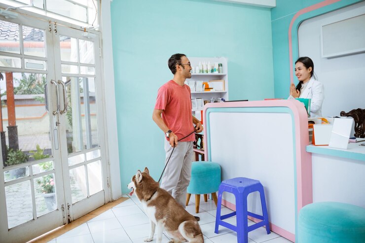 dog daycare